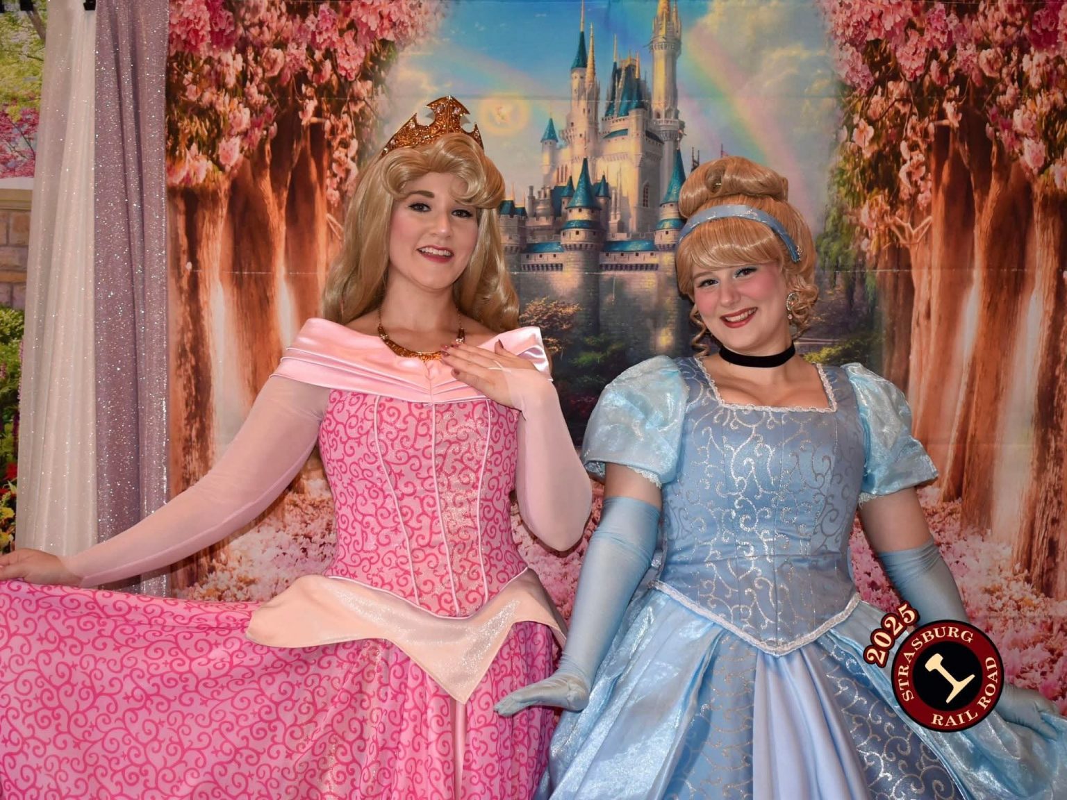 1136271853206|Nicholas LeClerc/3559~SRRT